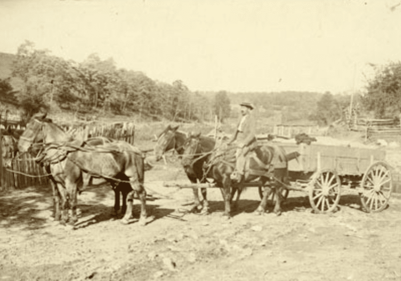 Four-horse wagon team, late 1800s or early 1900s. Rockbridge County, Virginia. <br>
(Blue Ridge Heritage Archives, Ferrum College)